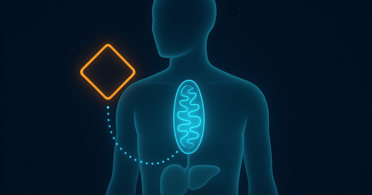 SLU-PP-332 Side Effects: Zero Human Data, Mouse Signals (2026)