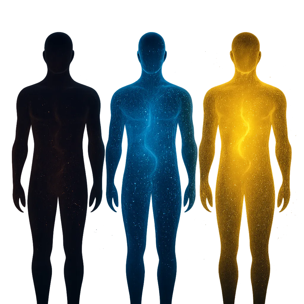 5-Amino-1MQ Metabolic Progression