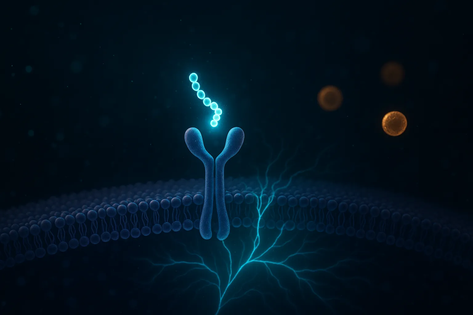 Supplement mechanisms comparison
