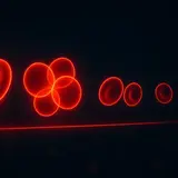 Vitamin B12 Results: Deficiency Timeline (2026)