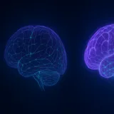 Cerebrolysin Results Timeline: Course by Week (2026)