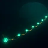Dihexa Timeline: What the Evidence Shows (2026)