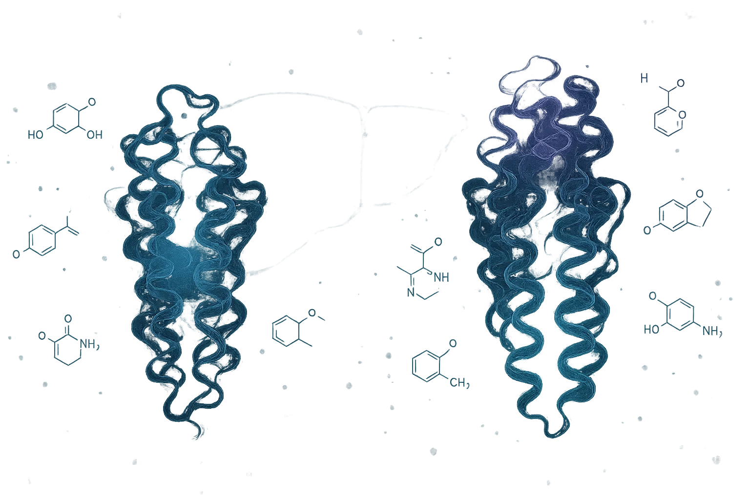 Dual receptor binding comparison showing GLP-1 and GIP receptor mechanisms