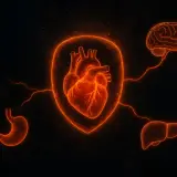 GHRP-6 Benefits: Cytoprotection Beyond GH Release (2026)
