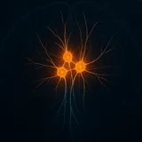 Yale Study: Semaglutide Needs Hunger Neurons for Fat Loss