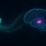 GLP-1 Pills Hit Brain Reward Circuit: New Mechanism
