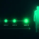 Glutathione Results: Week-by-Week Timeline (2026)