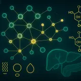Retatrutide Bloodwork: 8 Labs to Track (2026)