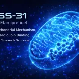 SS-31 (Elamipretide): Research & Benefits (2026)