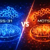 SS-31 vs MOTS-c: Mitochondrial Peptides (2026)