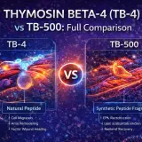 TB-4 vs TB-500: Full Peptide vs Fragment (2026)