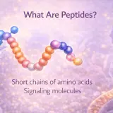 What Are Peptides? How They Work in 2026
