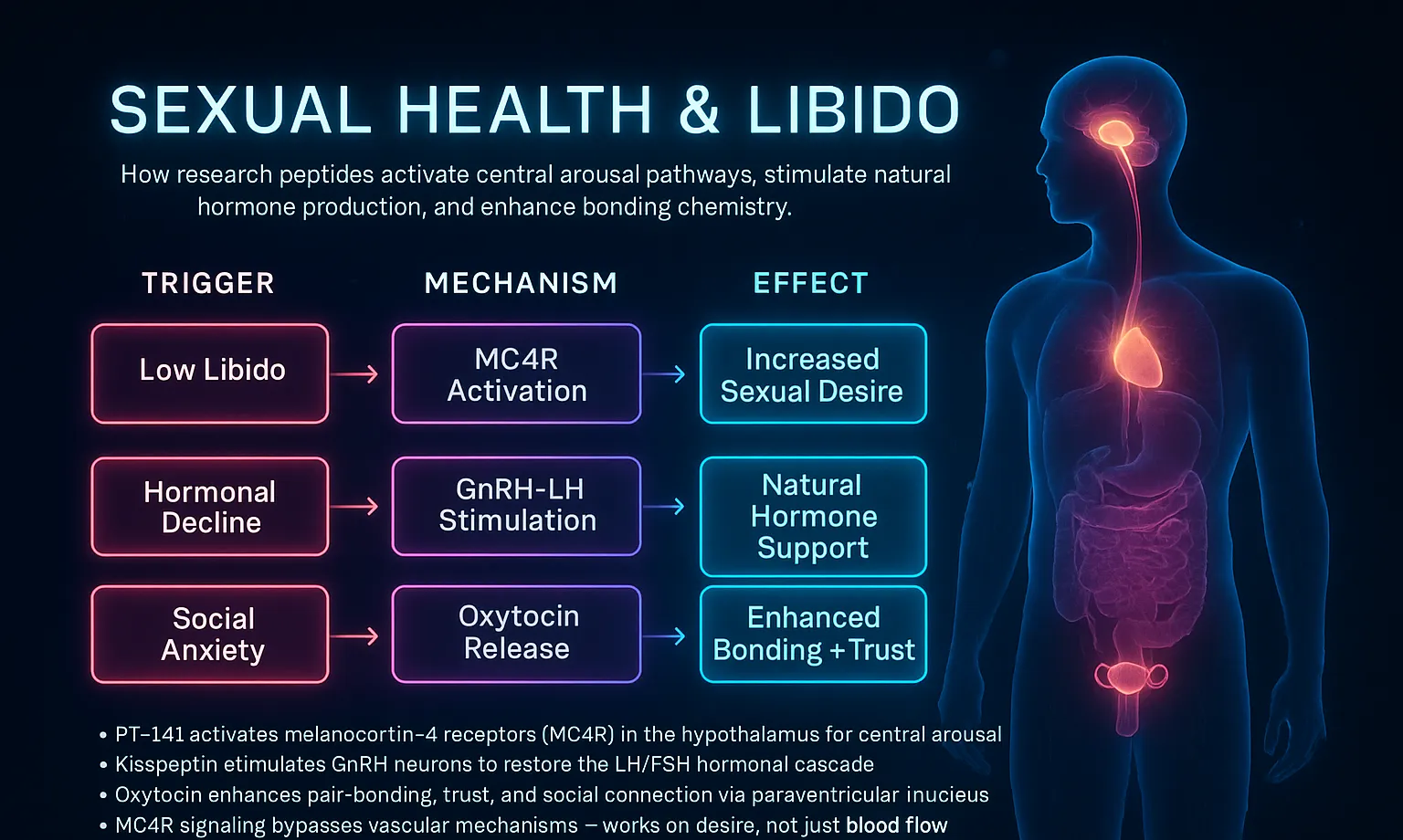 How Sexual Health peptides work — mechanism diagram