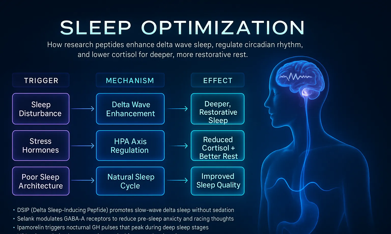 How Sleep peptides work — mechanism diagram